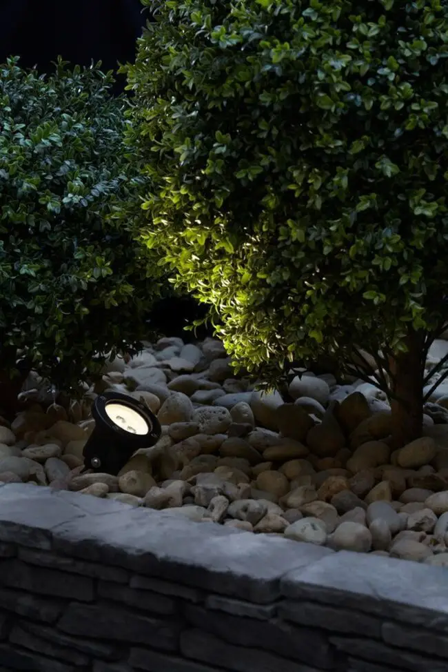 Strategic Lights on Sculpted Foliage