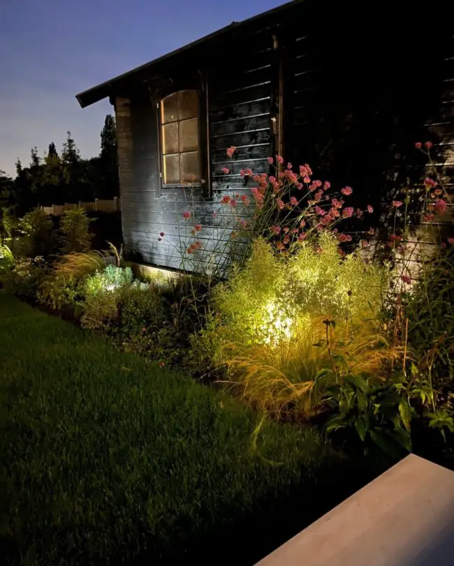 Garden Awakened by Evening Lights