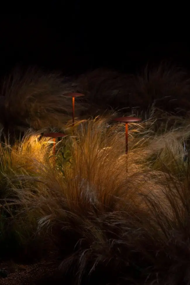 Desert Glow at Dusk