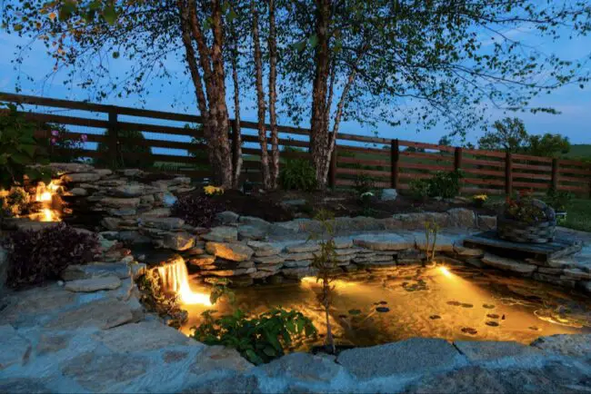 How Can I Use Lighting To Enhance The Look Of My Garden Pond?