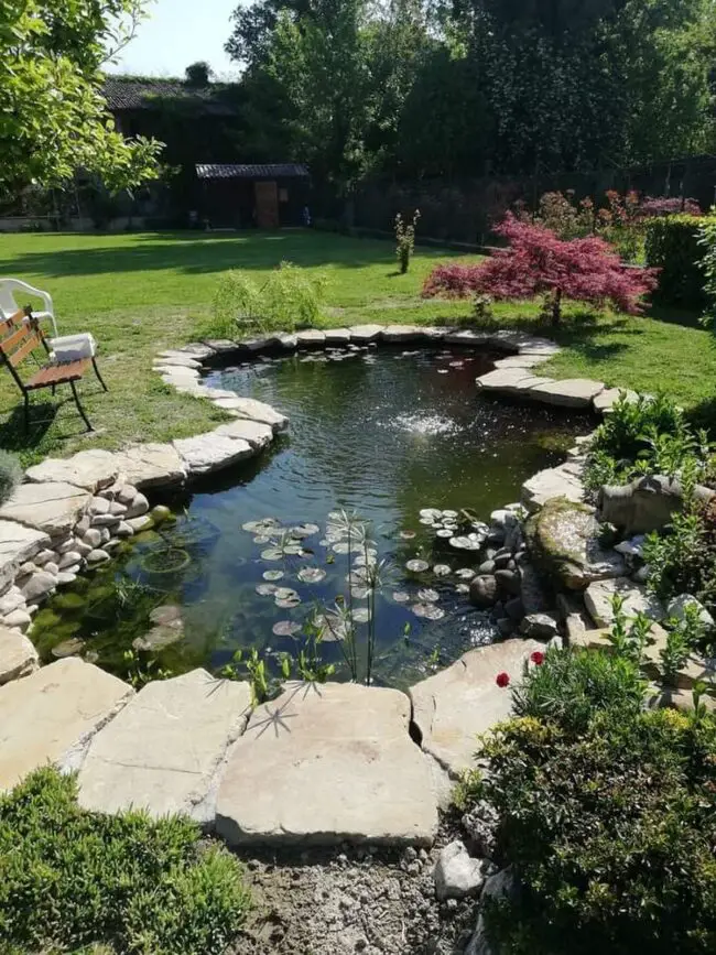 Tranquil Koi Haven in the Backyard