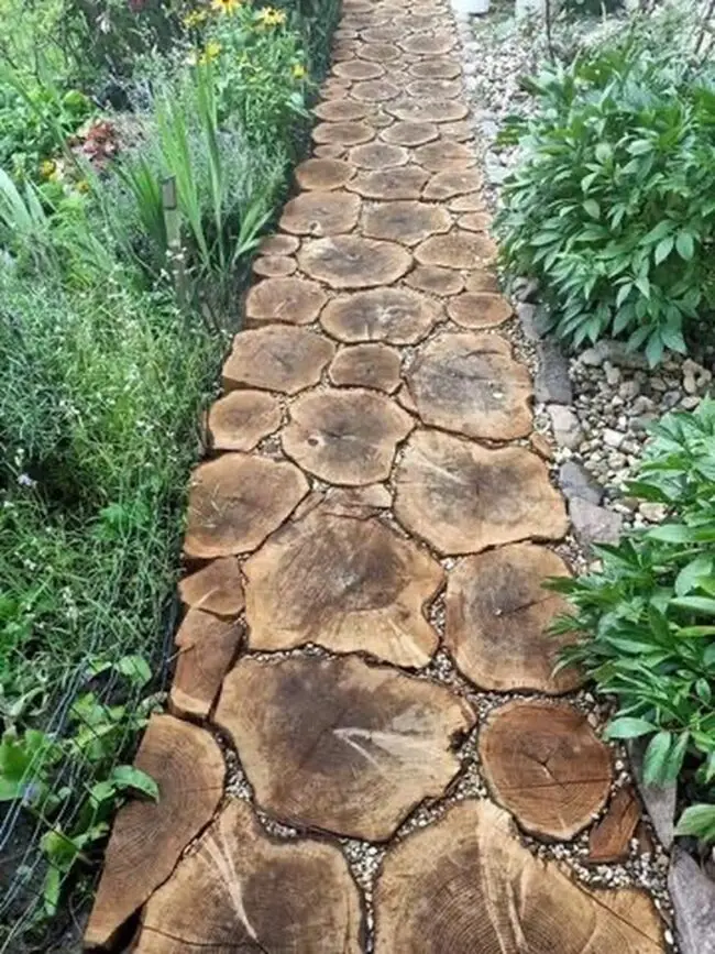 A Pathway Inspired by Nature