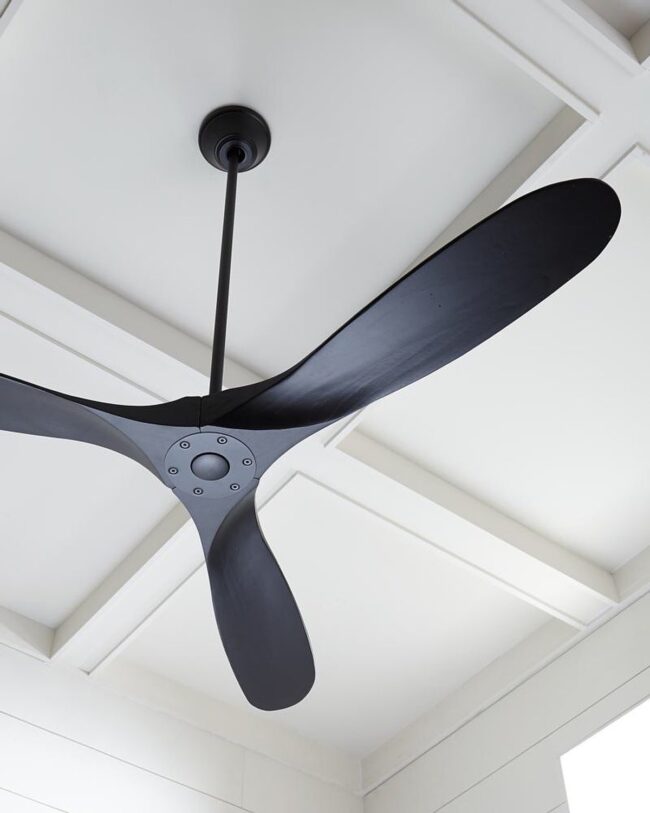 Contemporary and Sleek Ceiling Fan