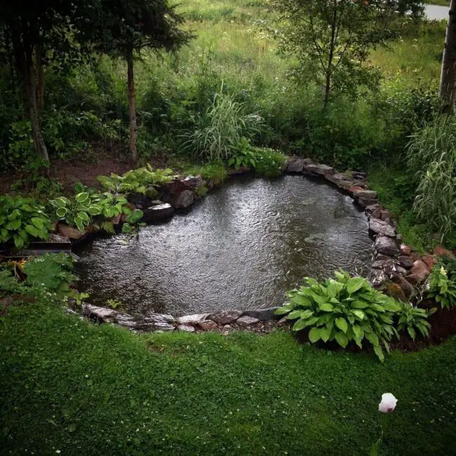 Secluded Grove Water Feature