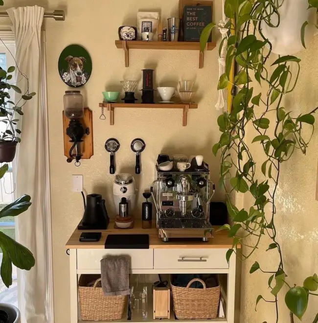 Botanical-Inspired Brew Space