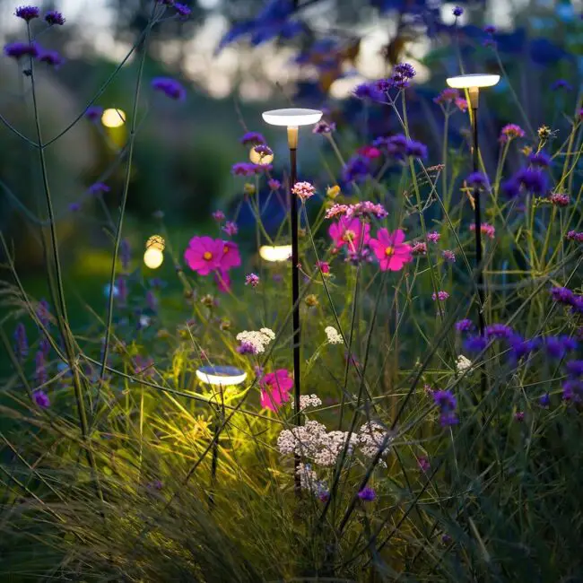 Soft Radiance Among the Greenery