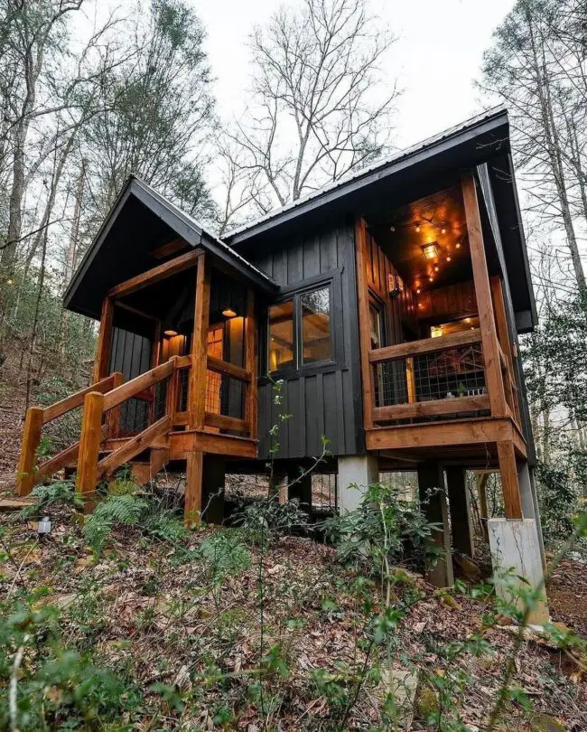 Black and Cedar Retreat in the Woods