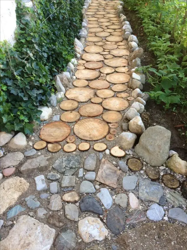 Whimsical Trails and Unique Designs