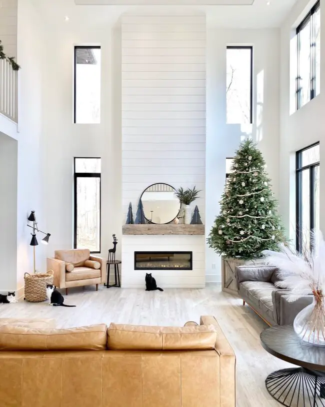 Spacious Modern Holiday Celebration