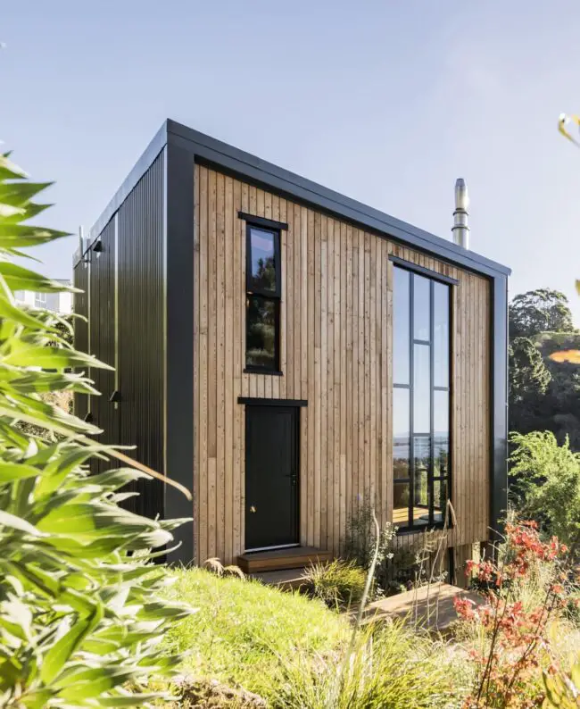 Minimalist Black and Cedar Exterior