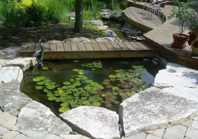 Stepping Stones and Lily Serenity