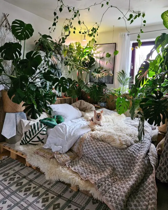 Green Sanctuary with Jungle Vibes