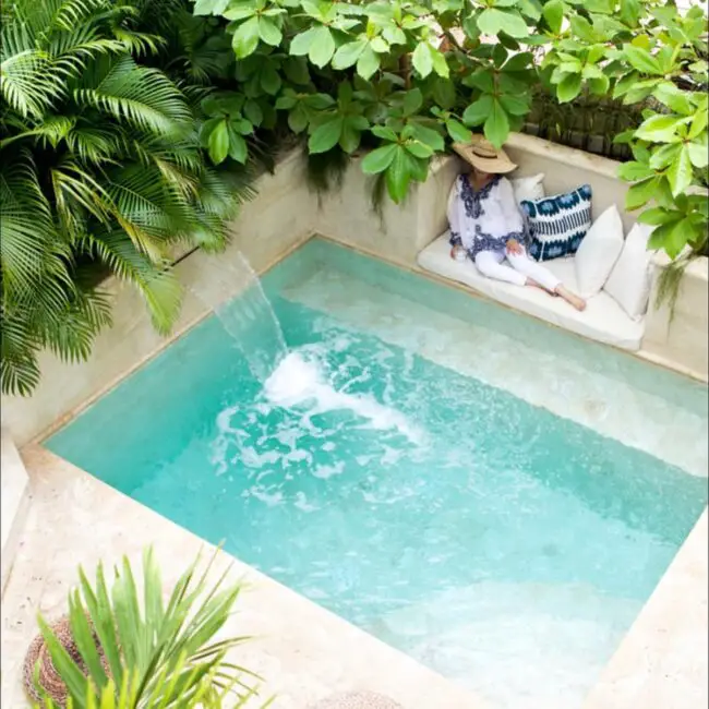 Tropical Oasis Surrounded by Lush Foli