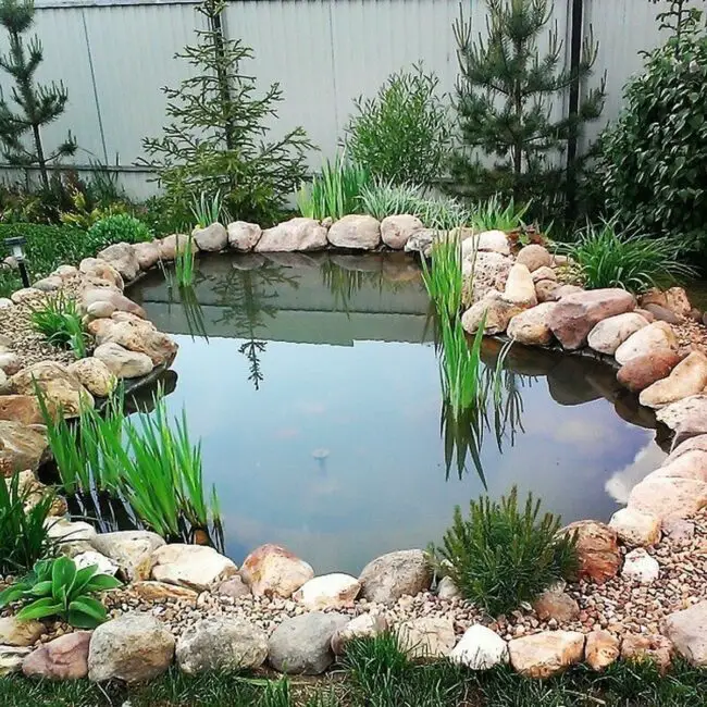 Suburban Pond Sanctuary