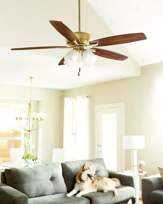 Cozy Living Room Ceiling Fan