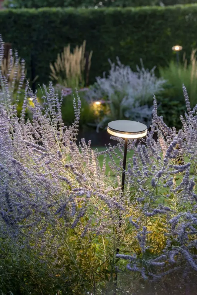 A Garden Painted in Light