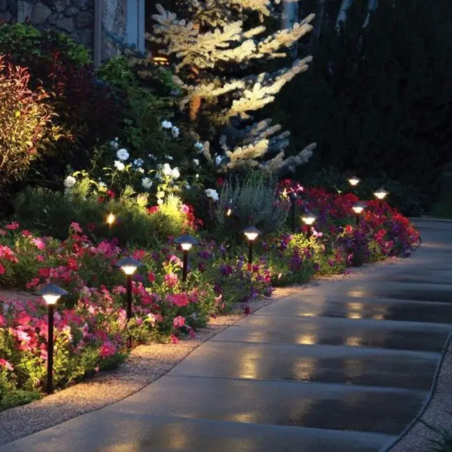 Floral Nighttime Garden