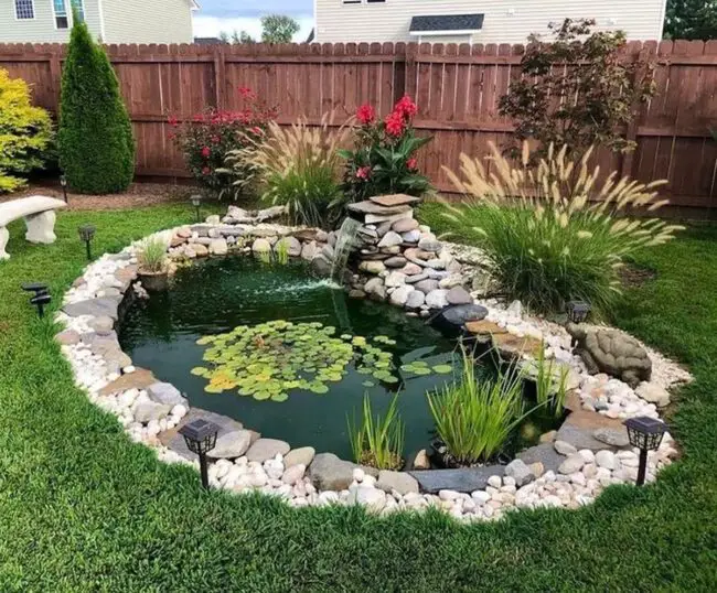 The Perfect Suburban Pond