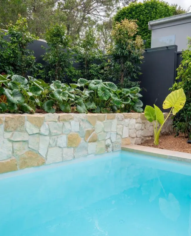 Tropical Foliage and Stone Balance