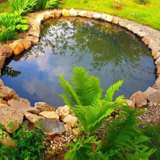 Rocky Reflecting Pond Design