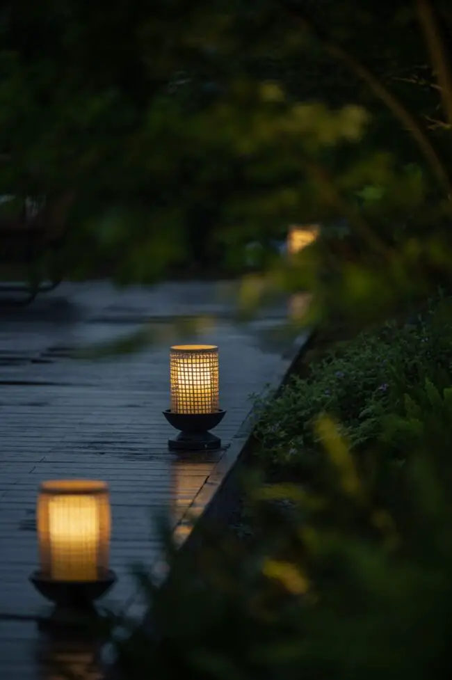 Calm Pathway Lit with Serenity