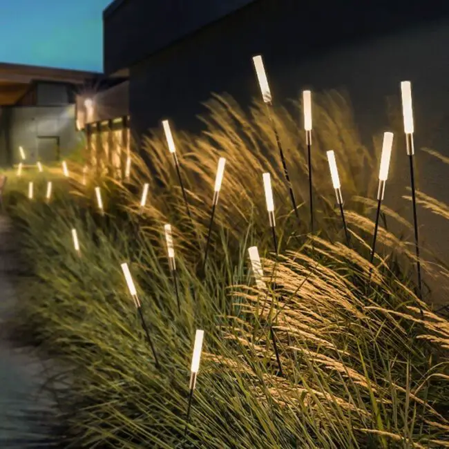 Linear Lights Along the Walkway