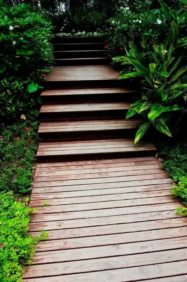 Steps to a Tropical Oasis