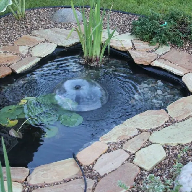 Serene Poolside Pond