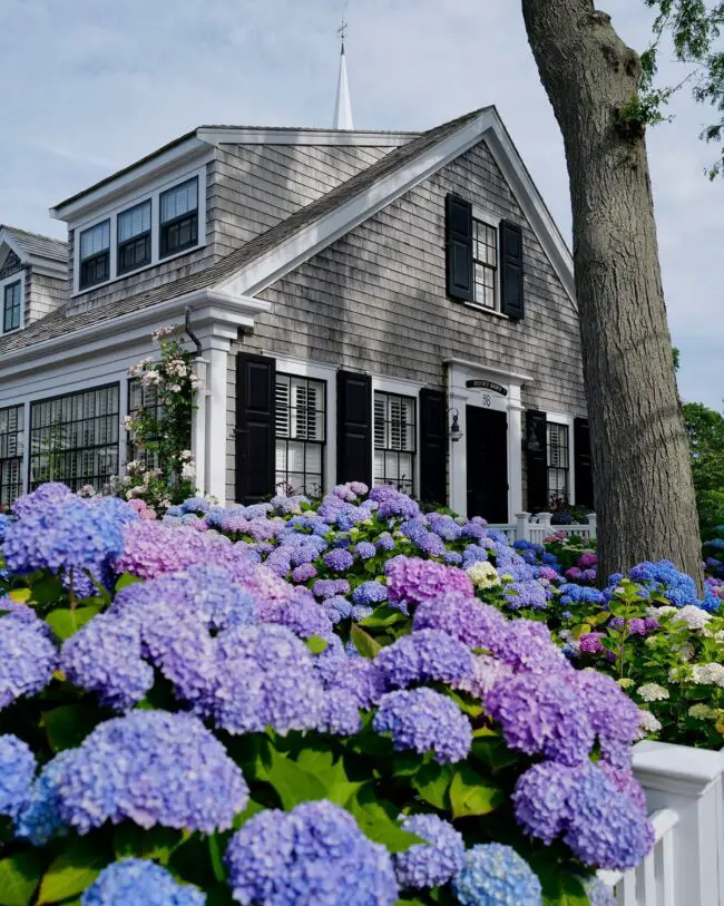 Vibrant Gardens Surrounding a Cape Cod Cottage