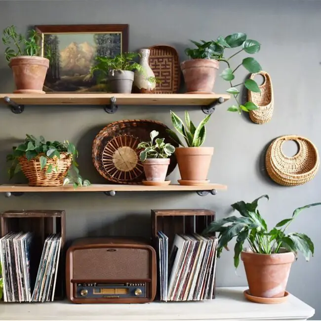 Terracotta pots on shelves